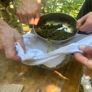 Secrets des plantes comestibles et médicinales (28 juin)